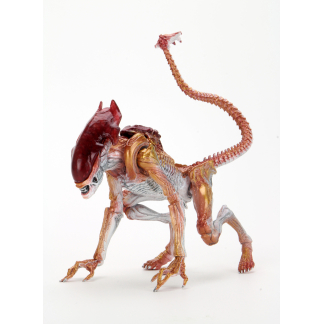 NECA Kenner Tribute Ultimate Panther Alien 7" Figure Panther Alien is the newest addition to NECA’s Kenner Tribute line!