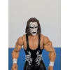 Sting WWE Basic Figure Mattel 2015