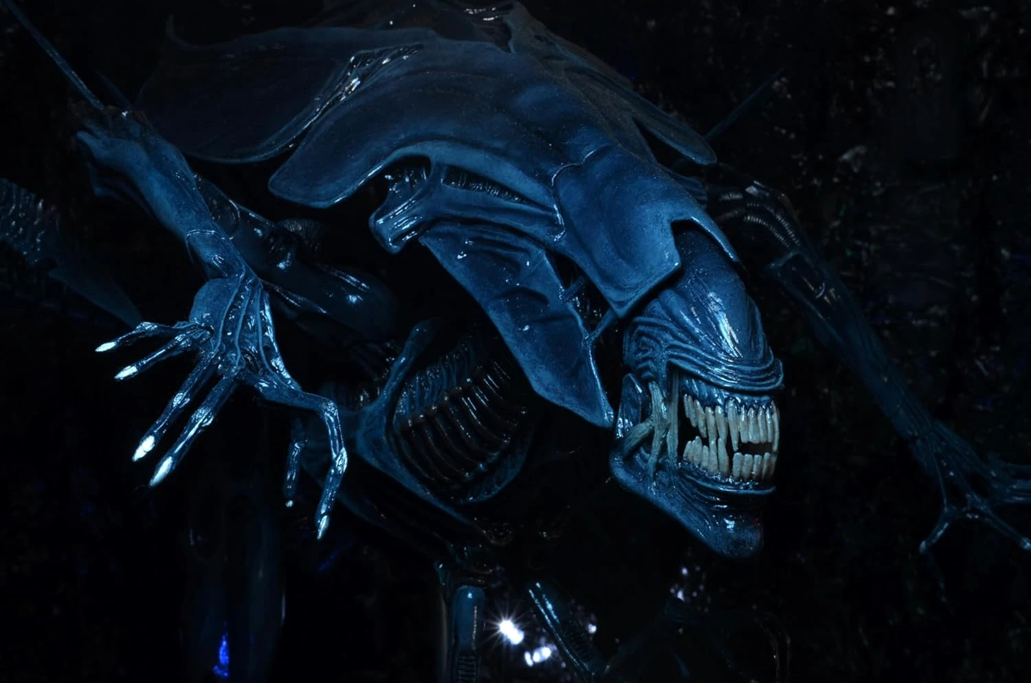 A massive, highly detailed 15-inch tall NECA Xenomorph Queen action figure with a glossy blue-black finish, displayed on a black support stand.