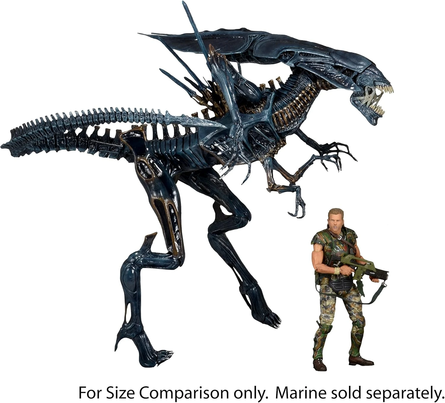 A massive, highly detailed 15-inch tall NECA Xenomorph Queen action figure with a glossy blue-black finish, displayed on a black support stand.